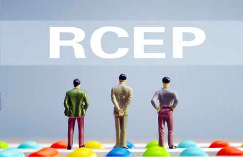 五大举措助力企业搭乘RCEP快车 商务部强化信息咨询服务