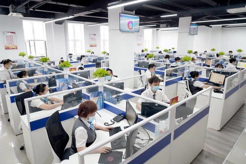 西城区开展“我为群众办实事”咨询电话政务服务体验员活动，提升信息咨询服务效能